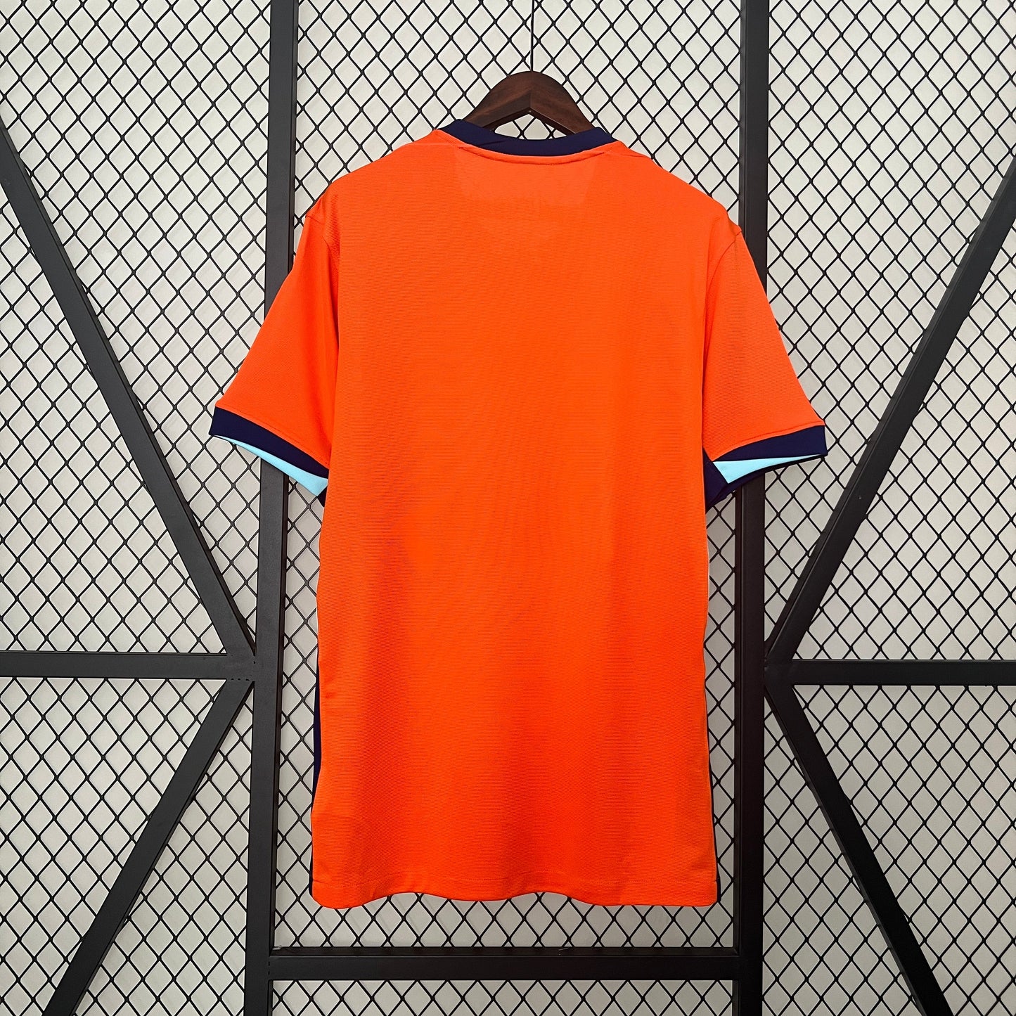 2024 Netherlands Home