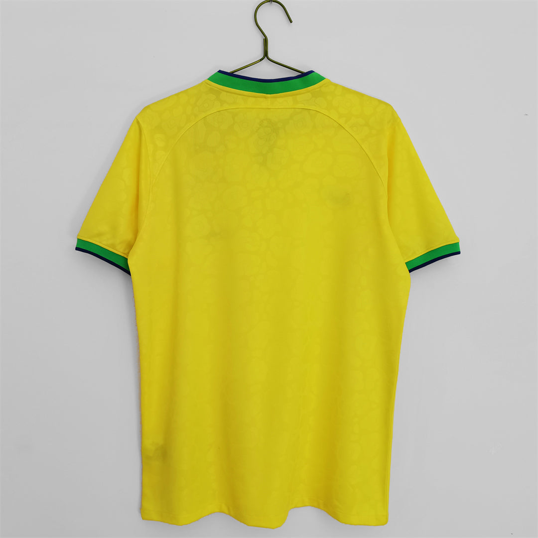 2022-23 Brazil Home