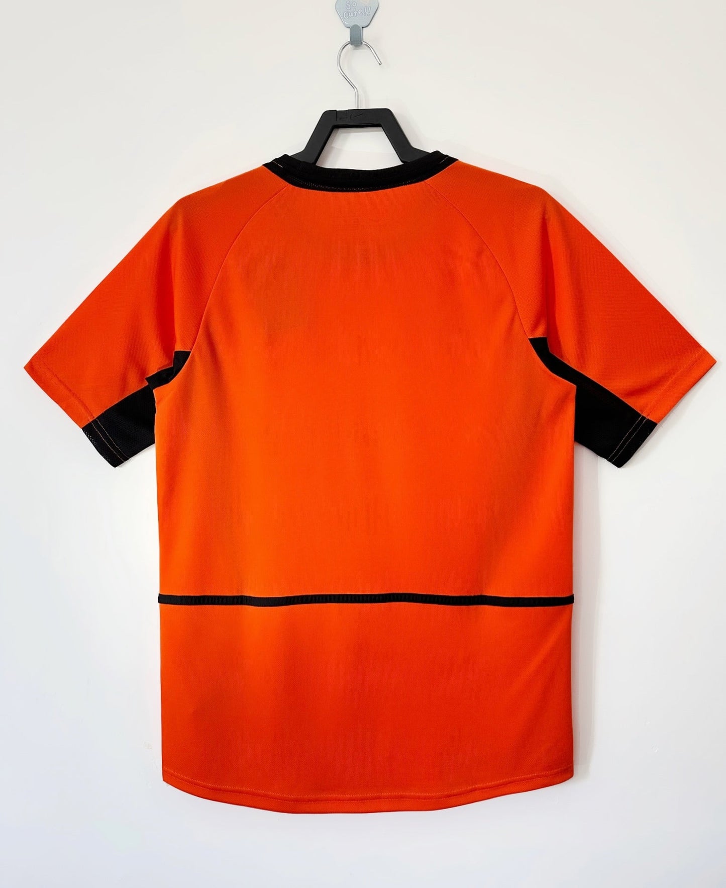 2002 Netherlands Home