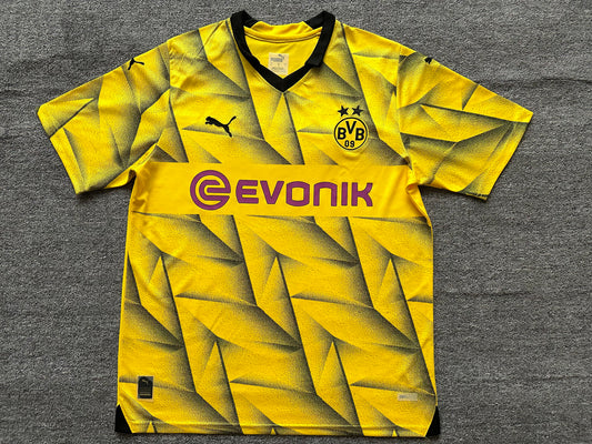 23-24  Borussia Dortmund