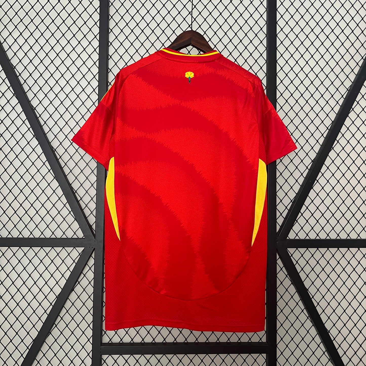 2024 Spain Home